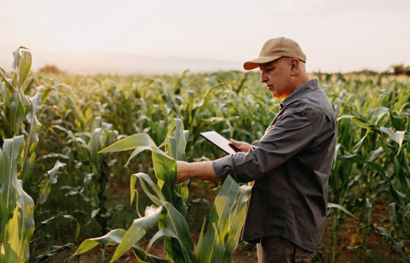 farmer in field at sunset